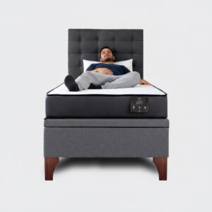 Cama baúl 1,5 plazas europea Athenas apertura horizontal con respaldo Button gris